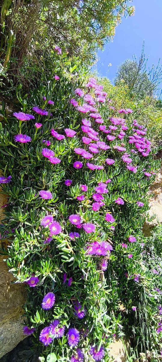 Xiaomi Redmi Note 14 Pro 5G Dual SIM (8/256GB) Midnight Black